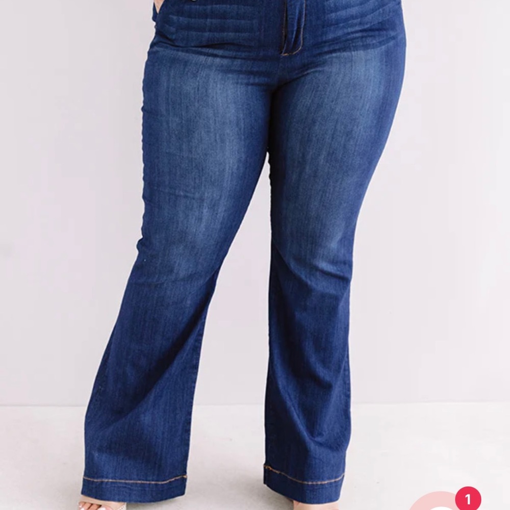 Size 22, Celebrity Pink Jeans